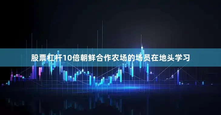 股票杠杆10倍朝鲜合作农场的场员在地头学习