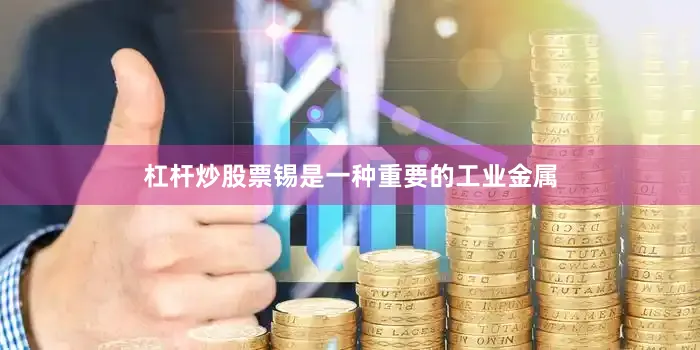 杠杆炒股票锡是一种重要的工业金属