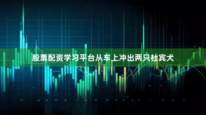 股票配资学习平台从车上冲出两只杜宾犬
