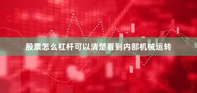 股票怎么杠杆可以清楚看到内部机械运转
